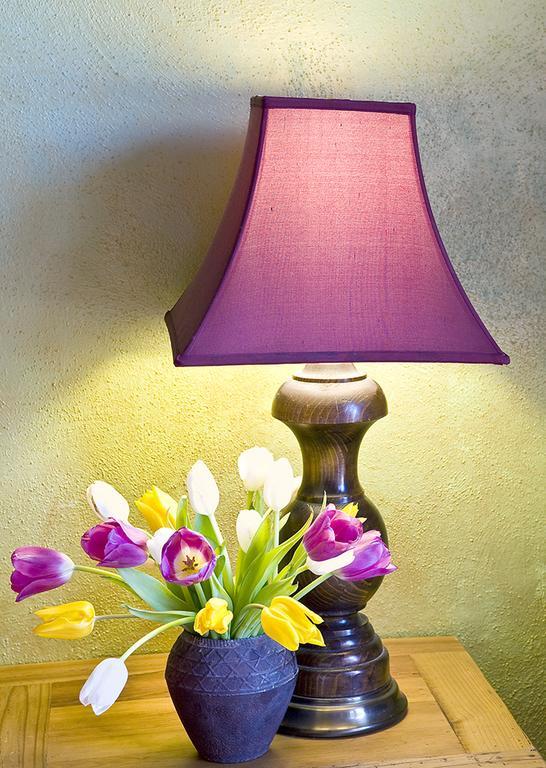 Casa Gallina - An Artisan Inn Taos Værelse billede